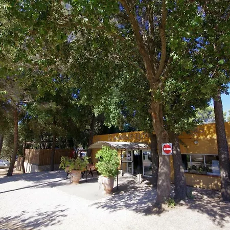 Camping Buffalo Hacienda Camping *